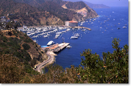 Cataline Island CTEdwards